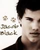 Jacob Black