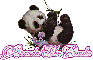 Miranda The Panda