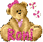 Brown bear with Roni name