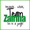 Team Zafrinia