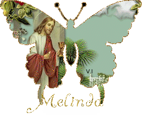melinda's VI verse six butterfly