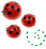 3 cute Ladybugs