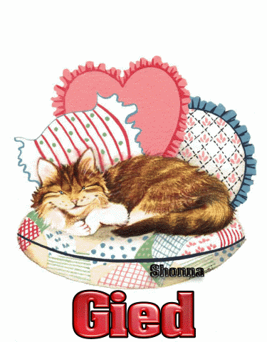 Gied cat