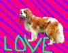 Love dogs icon