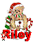 Christmas Bear Riley