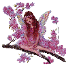 cherry blossom fairy