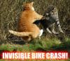 Invisible Bike Crash