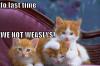 lol cat Weasleys