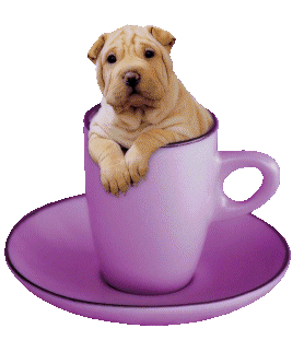 puppy in a purple tea cup