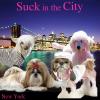 Sex In The City _ Puppies
