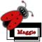 maggie's lady bug