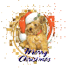 Christmas Pup - Merry Christmas