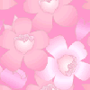 Pink and Lt. Pink Flowers