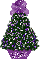 purple mismis tree, Kim
