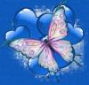 Hearted Butterfly