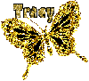 tracy gold&black butterfly