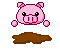 Piggy playing in mud 
