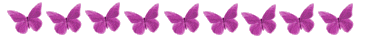 Purple Buttterfly Divider