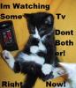 Im Watching Tv!Dont Bother!