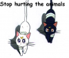 Stop hurting animals