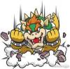 bowser mad