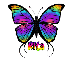 Rita rainbow butterfly