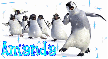 amanda penguins background