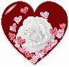 heart\rose
