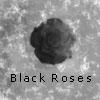 Black Rose.....