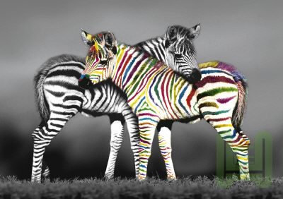 Colours