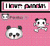 Panda Collage
