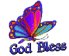 God Bless Butterfly