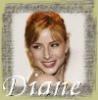 Diane Neal  Casey Novak Law and Order: Special Victims Unit
