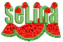 watermelon strawberries selina