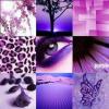 Purple Collage