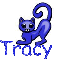 tracy blue cat