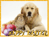 Happy Easter  dog & bunny