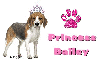 Beagle Princess Bailey