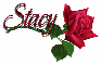 Stacy red rose