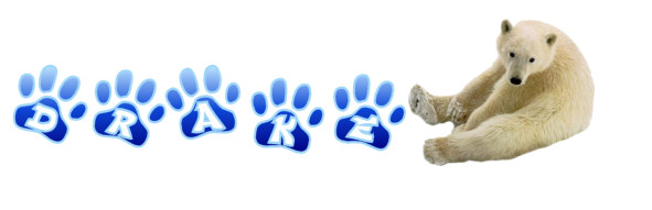 polar bear with name Drake