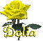 yellow rose delia