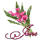 Pink Lily: Jane