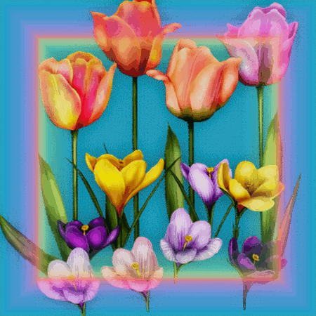 Tulip