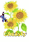 christy sun flower
