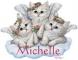Angel Kittens - Michelle