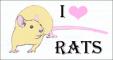I heart rats