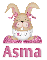 bunny asma