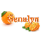Oranges: Genalyn