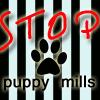 stop puppy mills