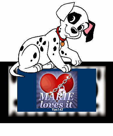 Dalmatian-Marie loves it